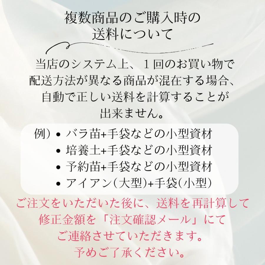 2026年 ルドゥーテカレンダー(壁掛け) ばらの香り付 : コマツガーデン