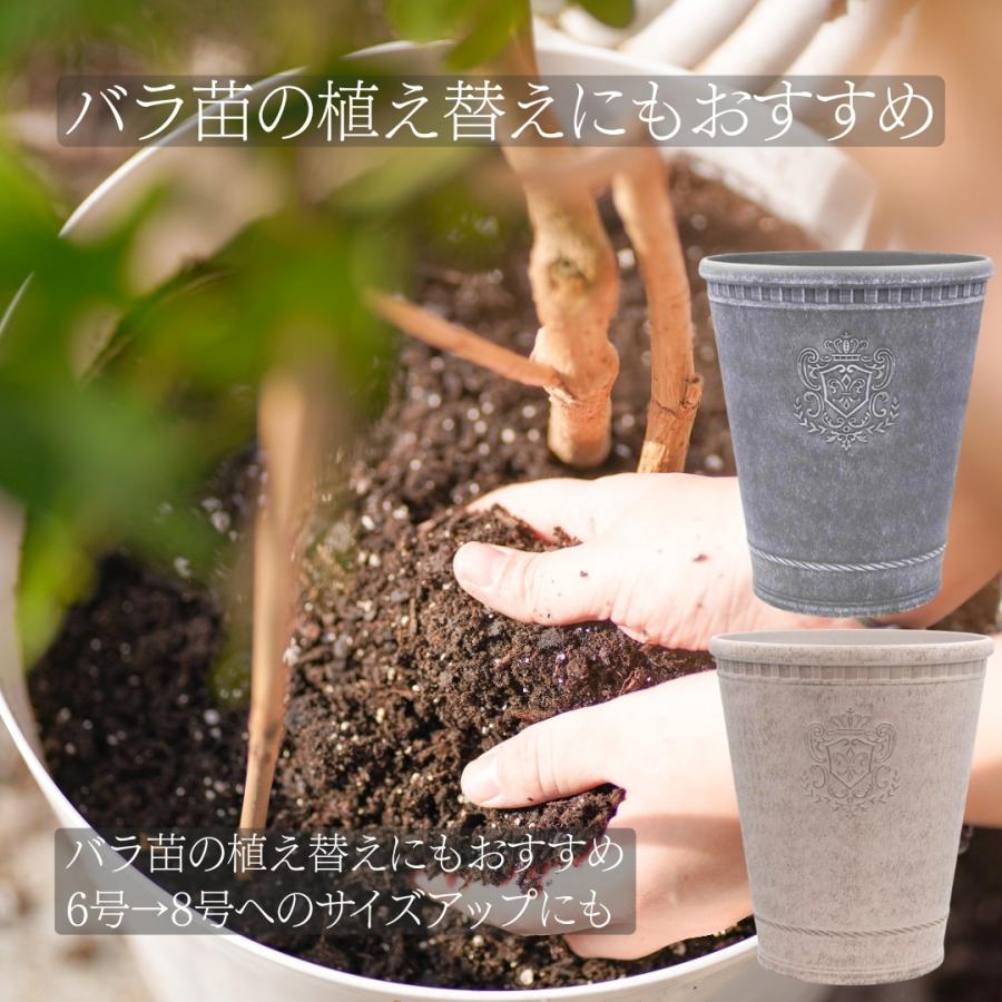 植木鉢 鉢 アンティーク調 ローズポット おしゃれ 8号 ガーデニング