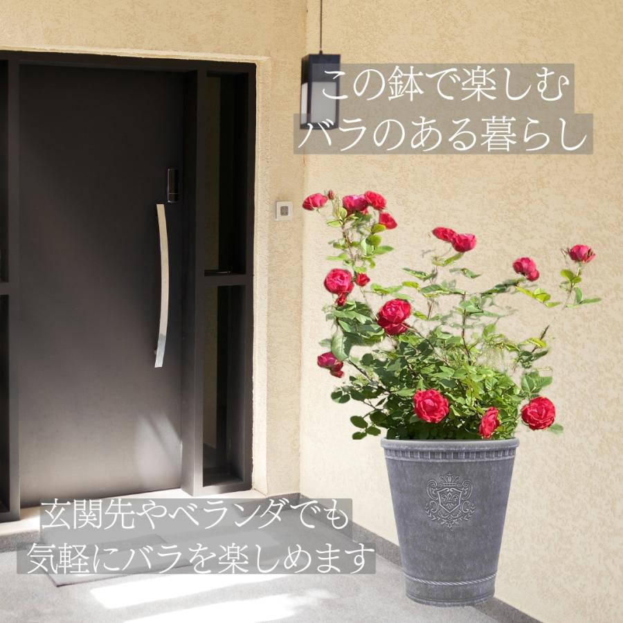 植木鉢 鉢 アンティーク調 ローズポット おしゃれ 8号 ガーデニング