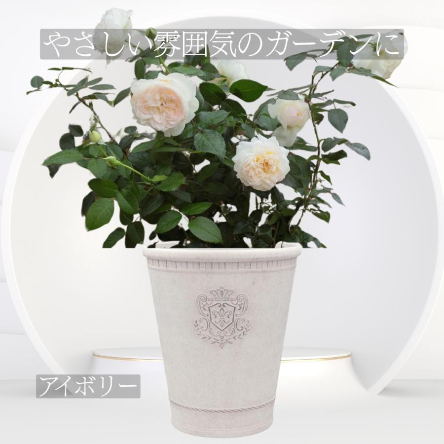 植木鉢 鉢 アンティーク調 ローズポット おしゃれ 8号 ガーデニング