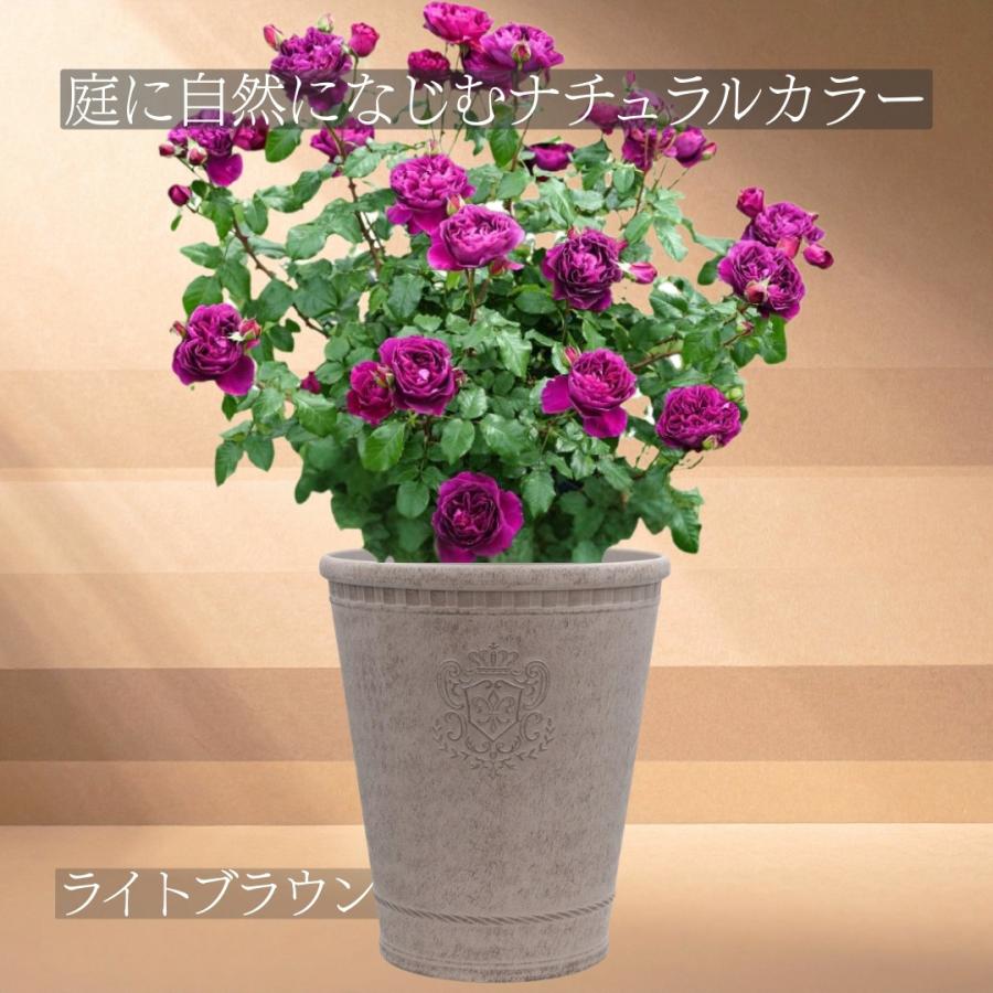 植木鉢 鉢 アンティーク調 ローズポット おしゃれ 8号 ガーデニング