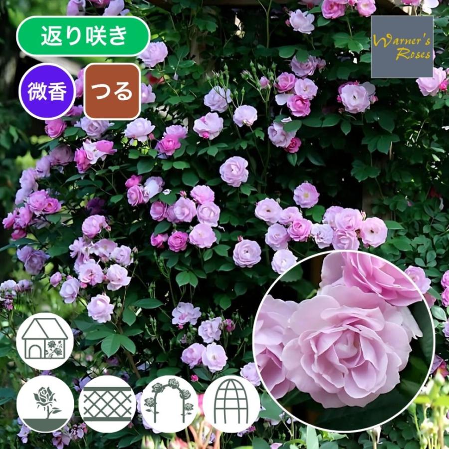 お譲りします / lynch. （バラ売り可） カット船ヒラマサ | 株式会社オーナーばり｜海釣り仕掛け、投げ釣り