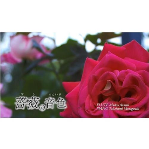 コマツガーデン DVD 「薔薇の音色」 : コマツガーデン Yahoo!店 - 通販