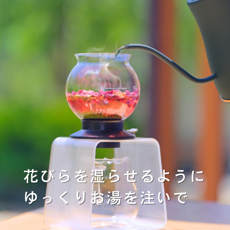 HARIO（ハリオ） ガラスポット 大容量で安心 スイッチ1つで簡単に