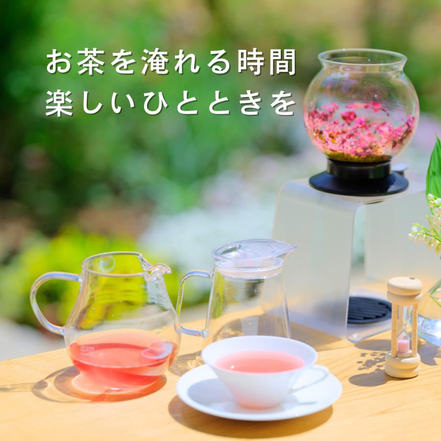 HARIO（ハリオ） ガラスポット 大容量で安心 スイッチ1つで簡単に