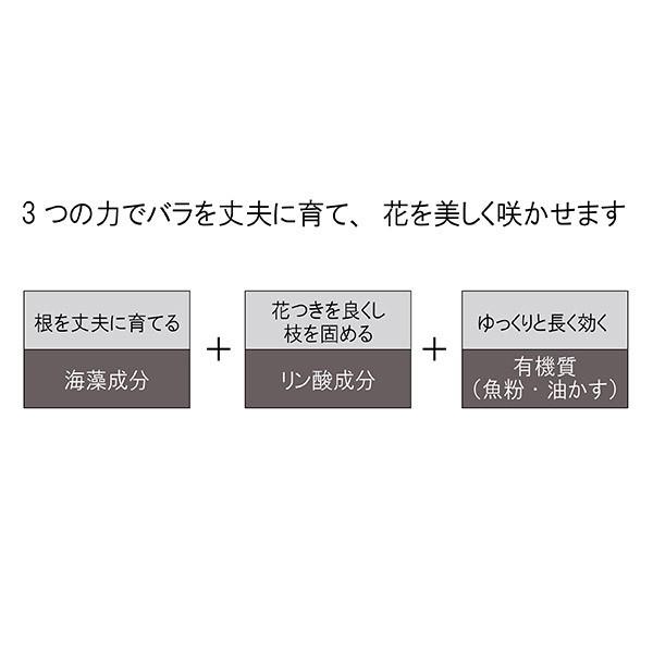 バラの肥料 コマツガーデン 3Kg 3袋セット 薔薇の肥料 元肥 追肥 両方