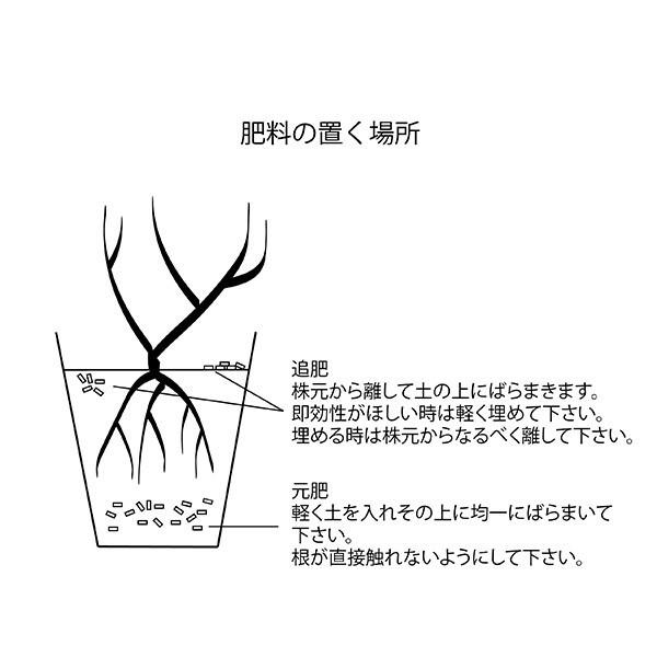 バラの肥料 コマツガーデン 3Kg 3袋セット 薔薇の肥料 元肥 追肥 両方