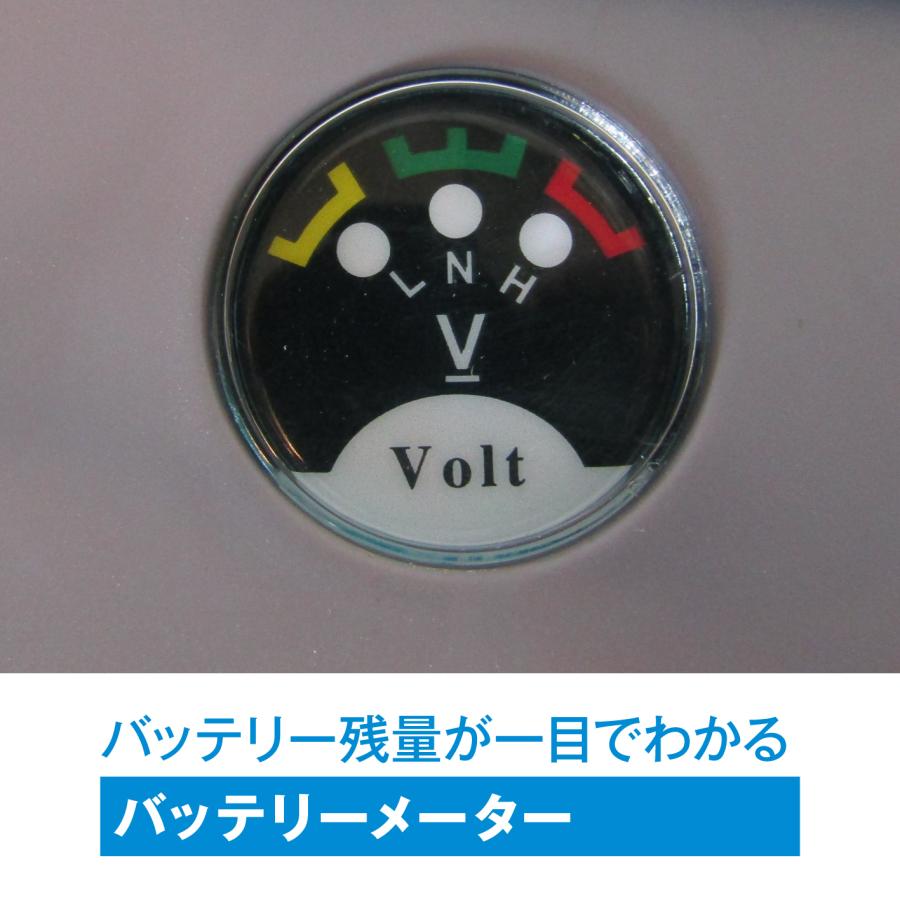 ☆背負式噴霧器 電動 噴霧器 12V 充電式 動噴 バッテリー2個付き 10L