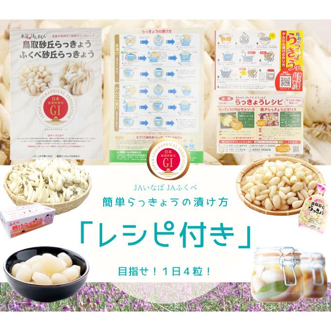 らっきょう 生 洗いラッキョウ Lサイズ 10kg（1kg×10袋）JAいなば JA