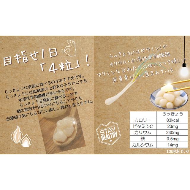 らっきょう 生 洗いラッキョウ Lサイズ 10kg（1kg×10袋）JAいなば JA