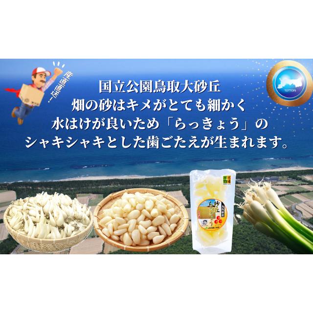 らっきょう 生 洗いラッキョウ Lサイズ 10kg（1kg×10袋）JAいなば JA