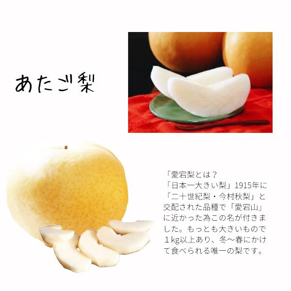 梨 愛宕梨 あたご梨 赤秀 2玉 秀品 ご進物 お歳暮 鳥取県産 送料無料