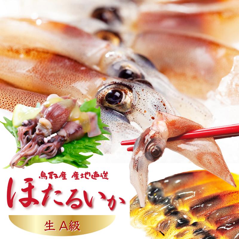 ホタルイカ 生 ほたるいか 2026 新物 -60℃急送冷凍級 A級 2kg (250g×8