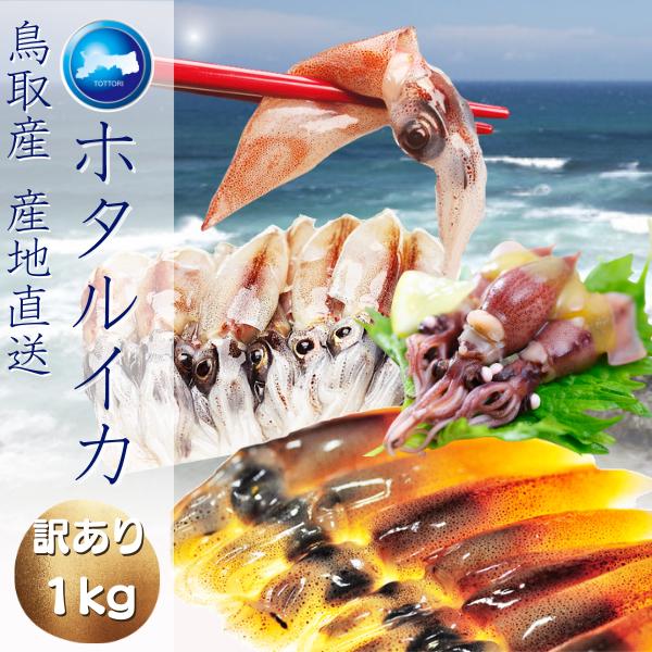 SALE/68%OFF】 ホタルイカ 2022年度 新物 ー60℃急速冷凍 訳あり 大きさ不揃い 約1kg 250g×4パック 生ほたるいか 2セットご購入で1セット増量 送料無料 wantannas.go.id SALE/68%OFF】 ホタルイカ 2022年度 新物 ー60℃急速冷凍 訳あり 大きさ不揃い 約1kg 250g×4パック 生ほたるいか 2セットご購入で1セット増量 送料無料 wantannas.go.id