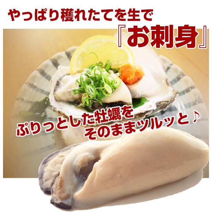 天然岩牡蠣(活) カキ 1kgセット 大きさお任せ ２セット以上ご購入で１セットプレゼント 岩カキ 牡蠣  鳥取産 岩牡蠣 牡蠣 (岩牡蠣 カキ)無料｜komatsuya-imaru｜05