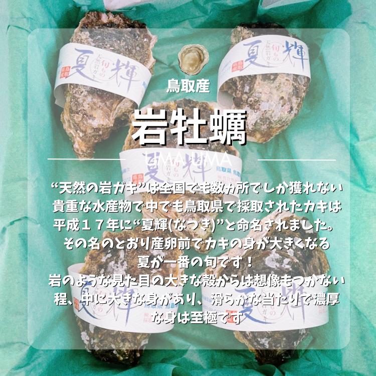 牡蠣 岩牡蠣 カキ 天然岩牡蠣 (活) 夏輝牡蠣 生牡蠣 250g-350ｇ前後(大サイズ) 20個セットブランド 夏輝牡蠣 鳥取産 カキ 刺身用 送料無料(岩ガキ/岩がき)_10