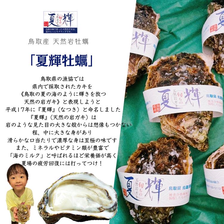 牡蠣 岩牡蠣 カキ 天然岩牡蠣 (活) 夏輝牡蠣 生牡蠣 250g-350ｇ前後(大サイズ) 20個セットブランド 夏輝牡蠣 鳥取産 カキ 刺身用 送料無料(岩ガキ/岩がき)_11