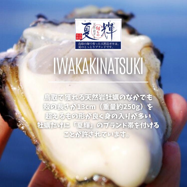 牡蠣 岩牡蠣 カキ 天然岩牡蠣 (活) 夏輝牡蠣 生牡蠣 250g-350ｇ前後(大サイズ) 20個セットブランド 夏輝牡蠣 鳥取産 カキ 刺身用 送料無料(岩ガキ/岩がき)_2