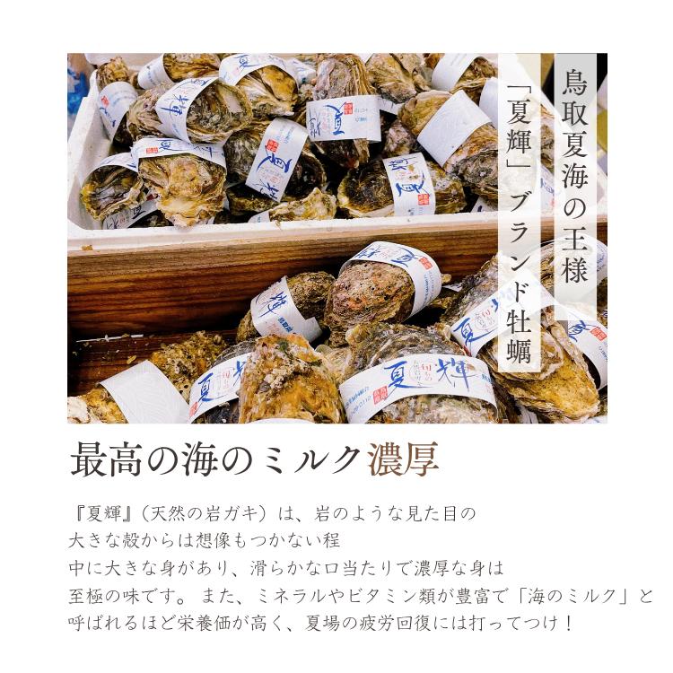 牡蠣 岩牡蠣 カキ 天然岩牡蠣 (活) 夏輝牡蠣 生牡蠣 250g-350ｇ前後(大サイズ) 20個セットブランド 夏輝牡蠣 鳥取産 カキ 刺身用 送料無料(岩ガキ/岩がき)_6