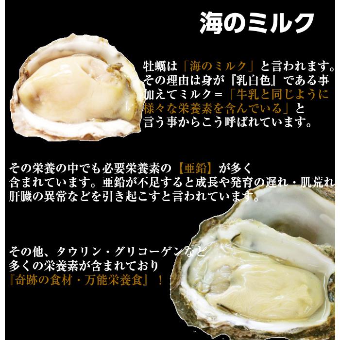 牡蠣 岩牡蠣 カキ 天然岩牡蠣 (活) 夏輝牡蠣 生牡蠣 250g-350ｇ前後(大サイズ) 20個セットブランド 夏輝牡蠣 鳥取産 カキ 刺身用 送料無料(岩ガキ/岩がき)_9