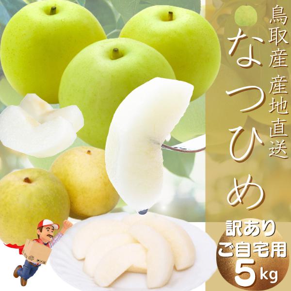 梨 なつひめ 夏姫 5kg詰 ナシ なし（10-20玉前後入）（ご自宅用 訳あり）ブランド梨 なし 2箱ご購入で1箱増量中 : 小松屋 ...