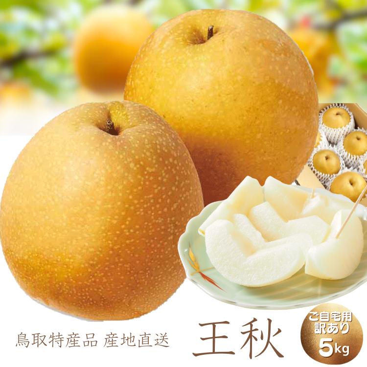 梨 王秋梨 5kg(サイズ混合) ご自宅用 訳あり 王秋 和梨 赤梨 冬梨 おう