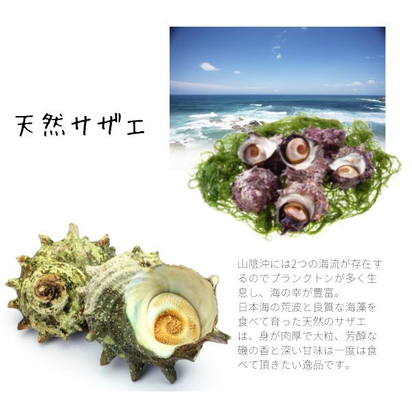 サザエ ２キロ 刺身用 天然サザエ 山陰沖産  (活 ) さざえ バーベキュー つぼ焼き （大きさおまかせ） 送料無料 |  | 01