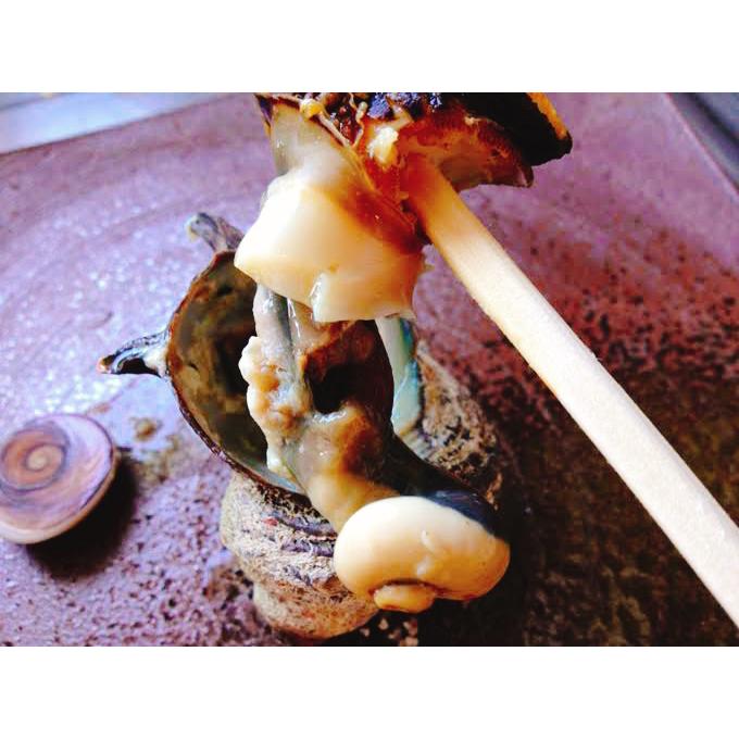 サザエ ２キロ 刺身用 天然サザエ 山陰沖産  (活 ) さざえ バーベキュー つぼ焼き （大きさおまかせ） 送料無料 |  | 07