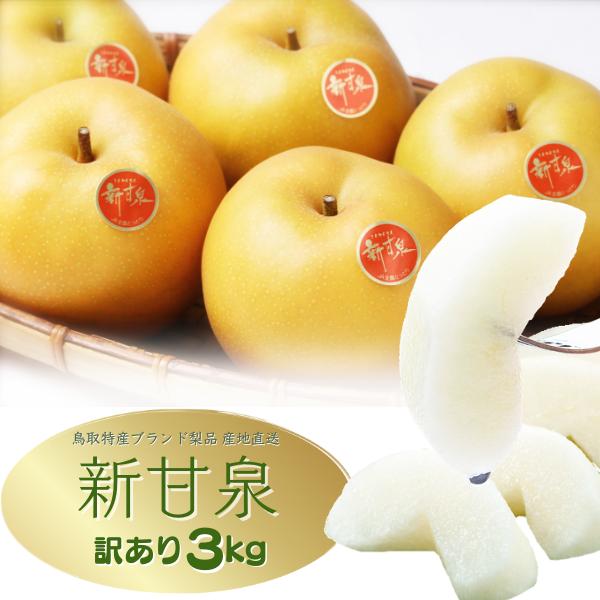 梨 新甘泉梨 しんかんせん 鳥取産  赤梨 和梨（ご自宅用 訳あり）3ｋｇ（8−14玉前後）S-4Lサイズ 甘さ抜群 送料無料 | 