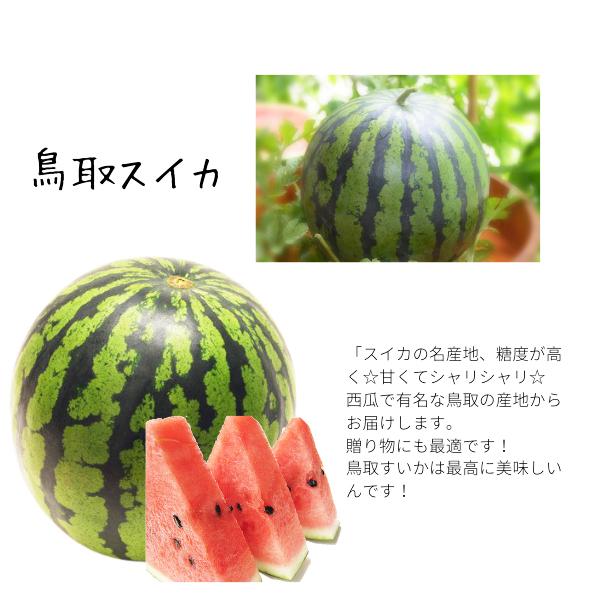 スイカ 西瓜 すいか 鳥取 特大 9キロ以上（訳あり ご自宅用）鳥取 北