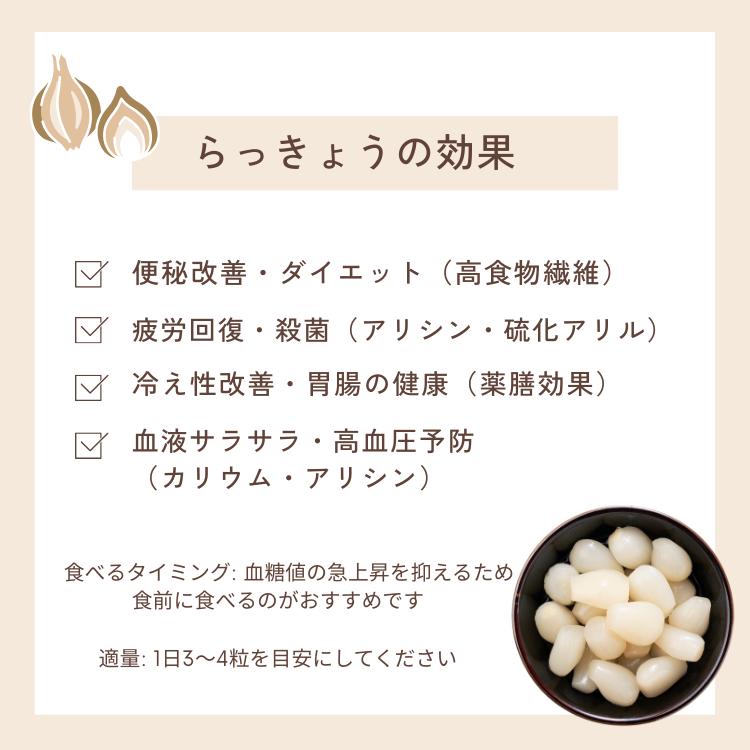 らっきょう 生 洗い ラッキョウ Lサイズ 10kg （1kg×10袋） JAいなば