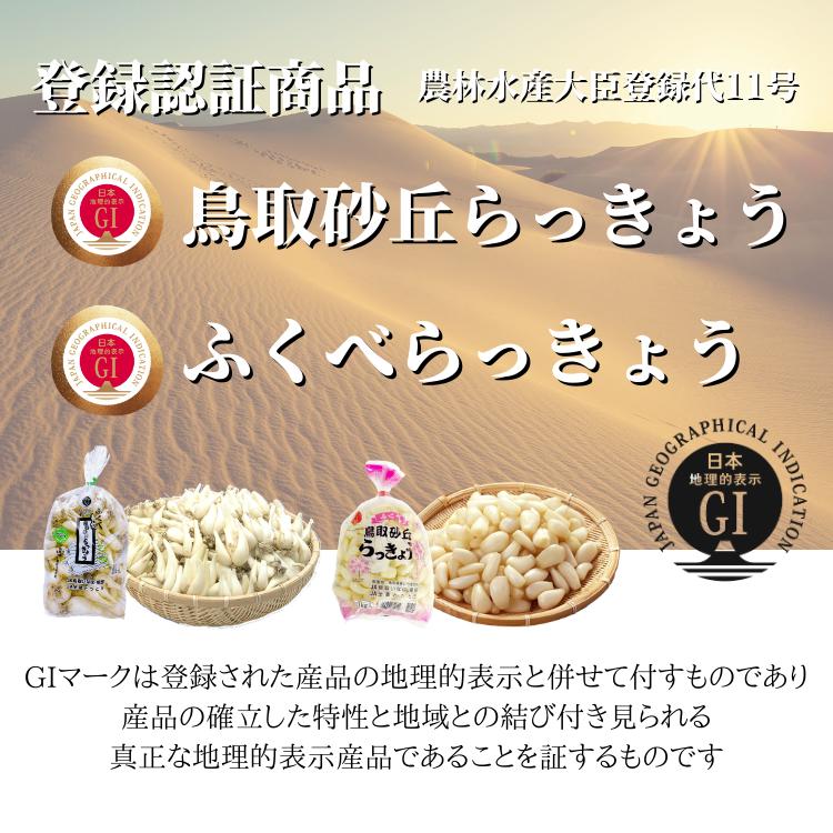 らっきょう 生 洗い ラッキョウ Lサイズ 10kg （1kg×10袋） JAいなば