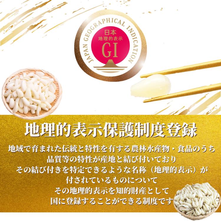 らっきょう 生 洗い ラッキョウ Sサイズ 10kg（1kg×10袋） JAいなば JA
