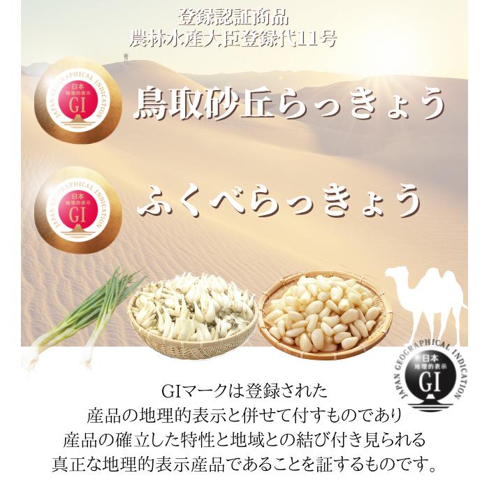 らっきょう 生 洗い ラッキョウ Sサイズ 10kg（1kg×10袋） JAいなば JA