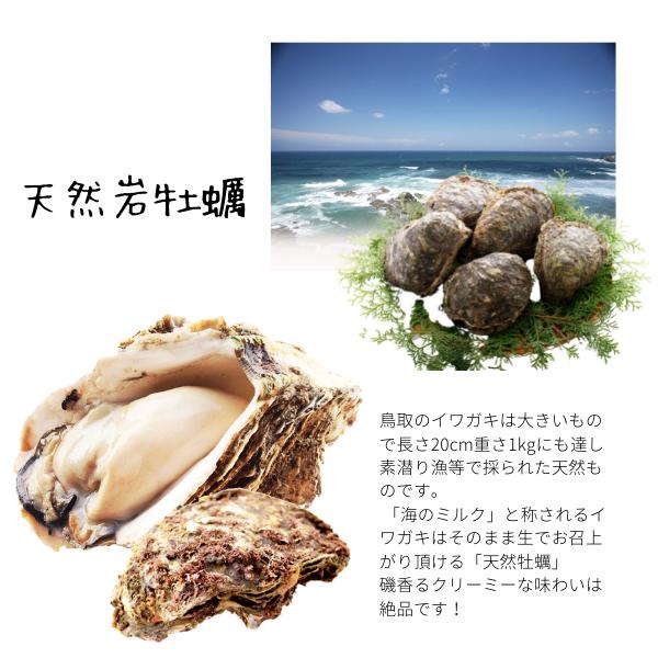 今だけ限定15 Offクーポン発行中 牡蠣 冷凍 カキ かき 貝 かい 新物 殻付き 真牡蠣 瀬戸内産 3キロ 産地直送 バーベキュー q 加熱用 送料無料 即日発送 Babylonrooftop Com Au