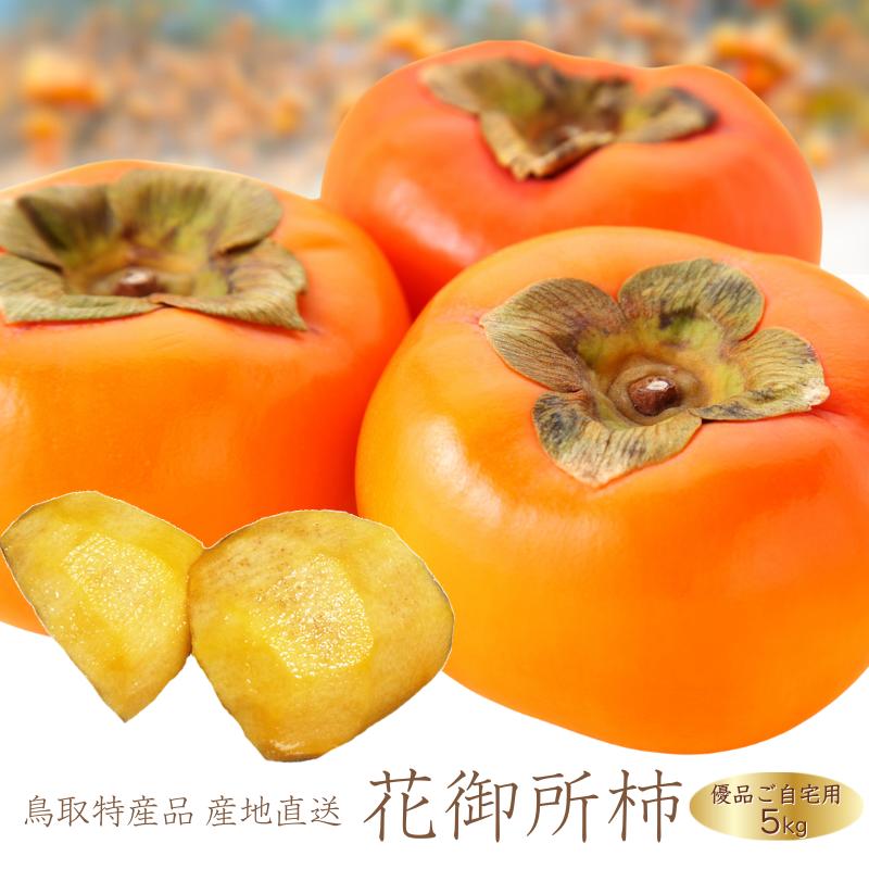 柿 花御所柿 甘柿 5kg かき カキ 鳥取産（優品ご自宅用訳あり）5kg M