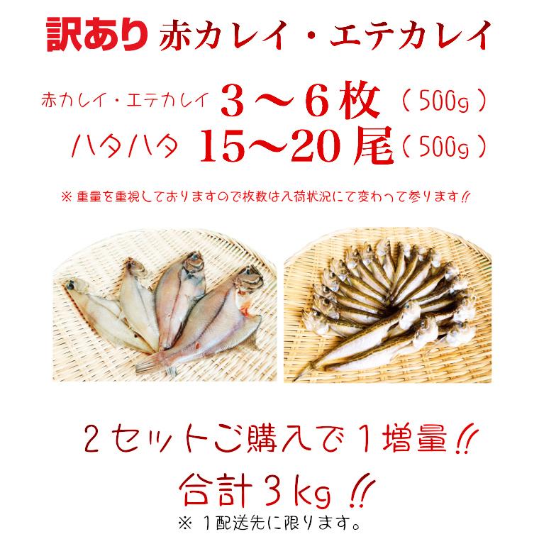 鳥取名産 カレイ ハタハタ干物セット(訳有り) 日本海山陰沖 1キロ 干物 一夜干し 2セットご購入で1セット増量中 :himono3:小松屋 - 通販 - Yahoo!ショッピング 鳥取名産 カレイ ハタハタ干物セット(訳有り) 日本海山陰沖 1キロ 干物 一夜干し 2セットご購入で1セット増量中 :himono3:小松屋 - 通販 - Yahoo!ショッピング