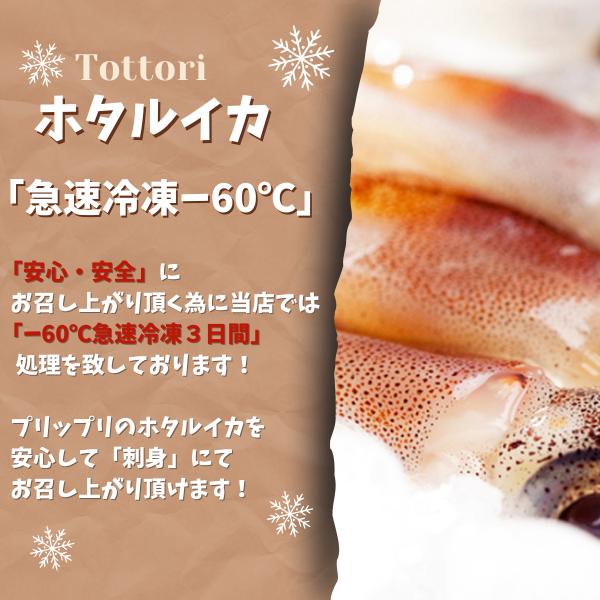 ホタルイカ 生 ほたるいか 2025 新物 A級 2kg (250g×8 ホタルイカ 生 ほたるいか 2025 新物 A級 2kg (250g×8