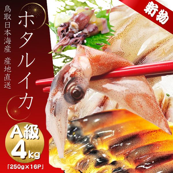 売れ筋 在庫あり hotaru-4 型番:hotaru-4