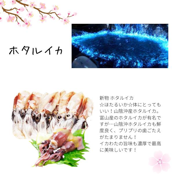 ホタルイカ 2024年度 新物ー６０℃急速冷凍 訳あり（大きさ不揃い）約１ｋｇ (２５０g×４パック)  生ほたるいか  ２セットご購入で１セット増量 送料無料｜komatsuya-plan｜02