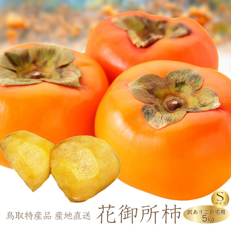 柿 花御所柿 甘柿 5kg かき カキ 鳥取産（Sサイズ大きさお任せ）鳥取