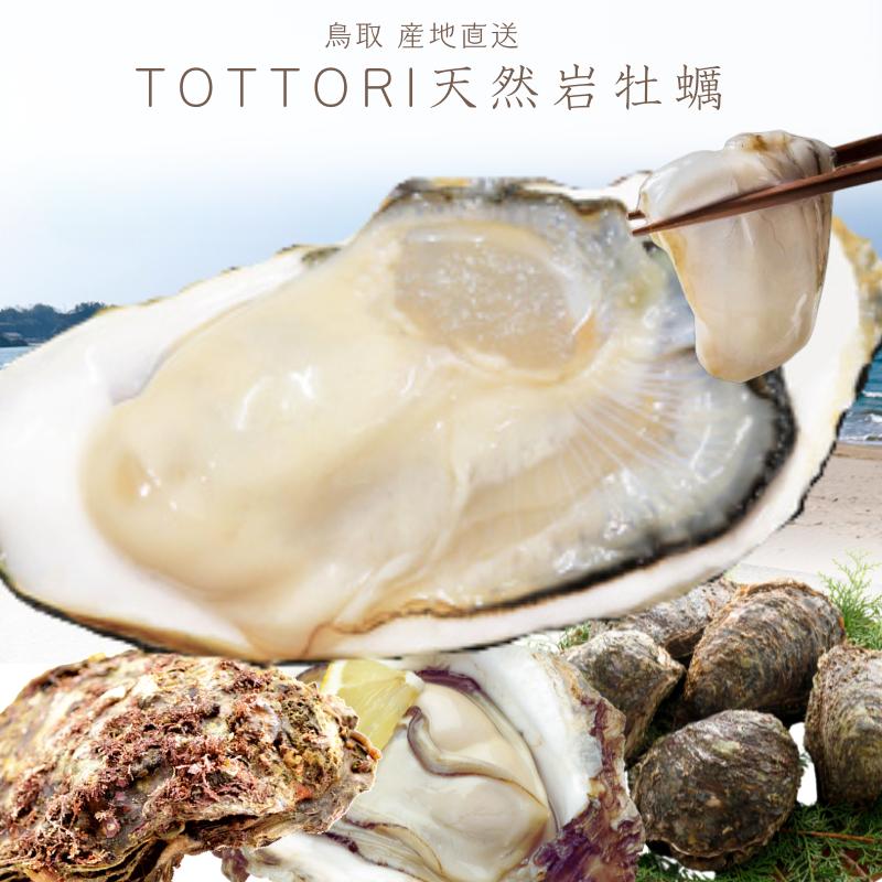 天然岩牡蠣 (活) 牡蠣 250g-350g前後 20個セット 鳥取産 岩牡蠣 カキ 刺身用 (岩ガキ/岩がき) 送料無料