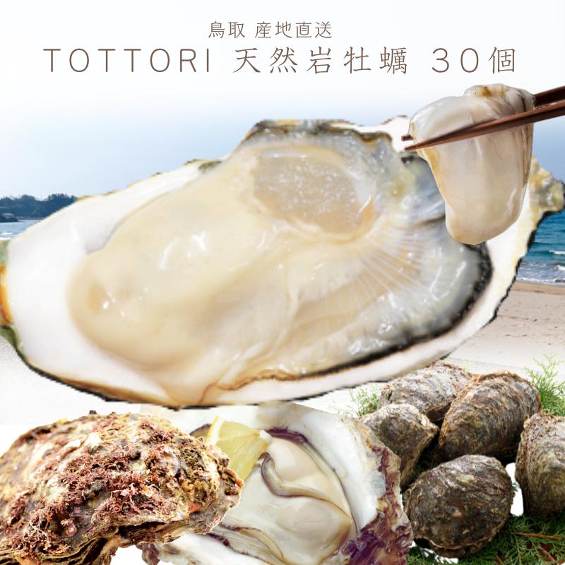 岩牡蠣30個専用 牡蠣 天然岩牡蠣 (活) 生牡蠣 30個セット 大きさお任せ 鳥取産 岩牡蠣