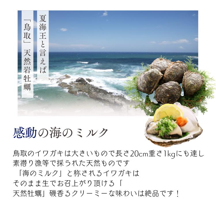 牡蠣 天然岩牡蠣 (活) 生牡蠣 30個セット 大きさお任せ 鳥取産 岩牡蠣