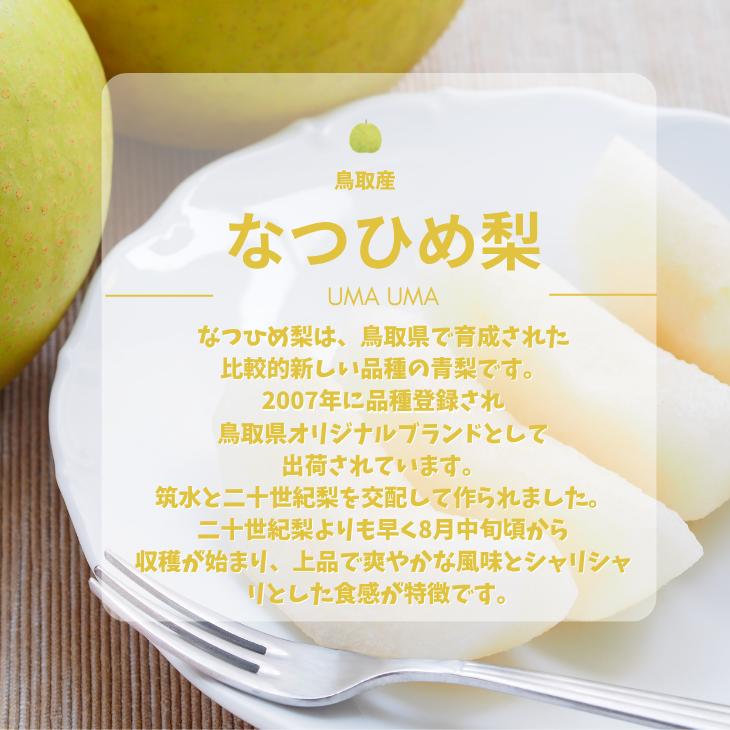 梨 なつひめ 5kg 夏姫 なし ナシ 10-20玉前後入 ご自宅用 優品 鳥取