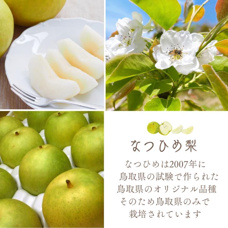 梨 なつひめ 5kg 夏姫 なし ナシ 10-20玉前後入 ご自宅用 優品 鳥取