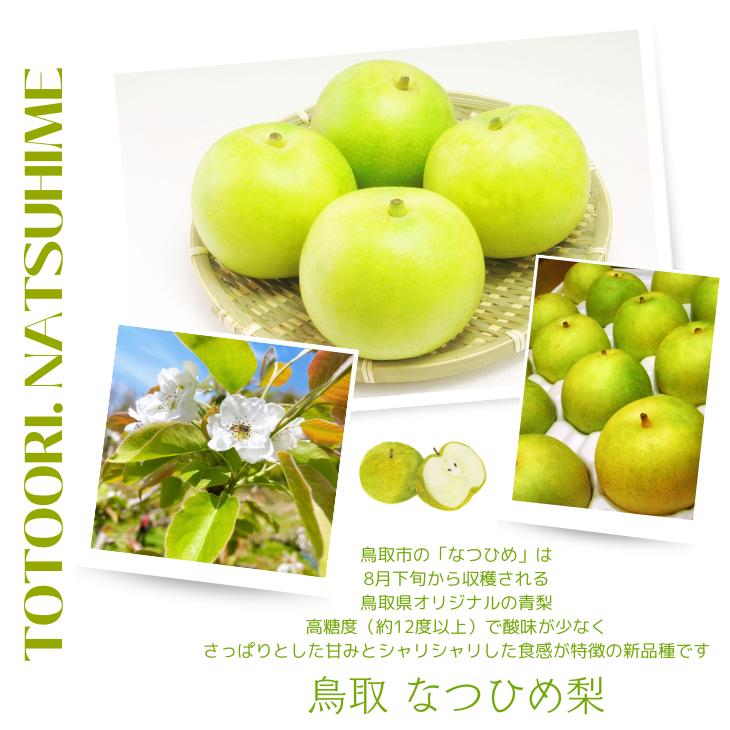 梨 なつひめ 5kg 夏姫 なし ナシ 10-20玉前後入 ご自宅用 優品 鳥取
