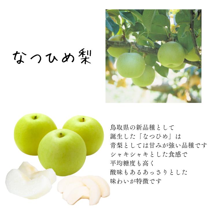 梨 なつひめ 5kg 夏姫 なし ナシ 10-20玉前後入 ご自宅用 優品 鳥取