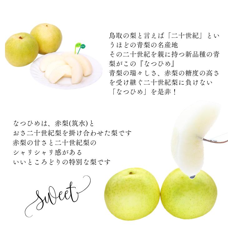 梨 なつひめ 5kg 夏姫 なし ナシ 10-20玉前後入 ご自宅用 優品 鳥取