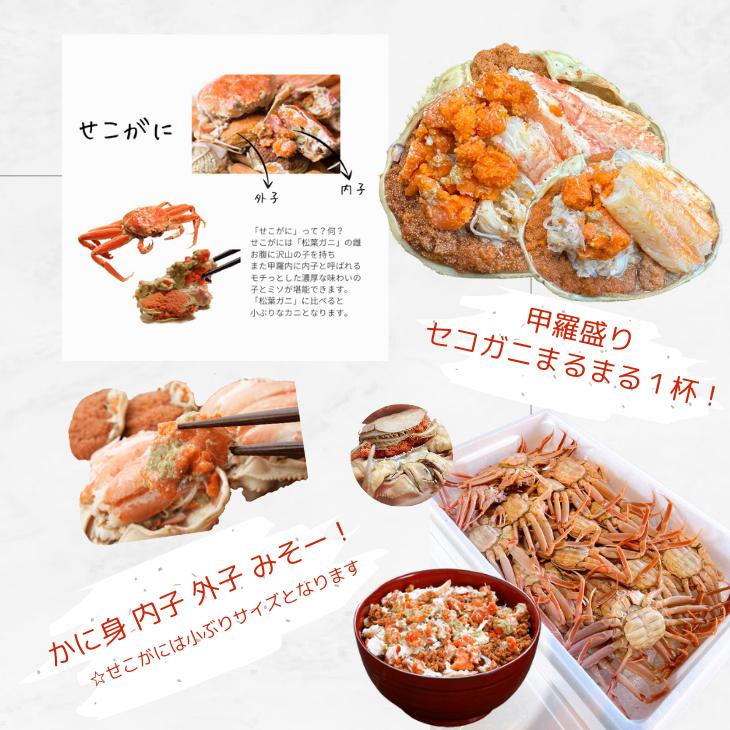 カニ セコガニ 甲羅盛り 20個 せいこがに せこがに 小サイズ 甲羅
